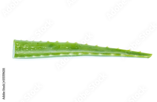 Fresh aloe vera leaves with water drops isolated on white