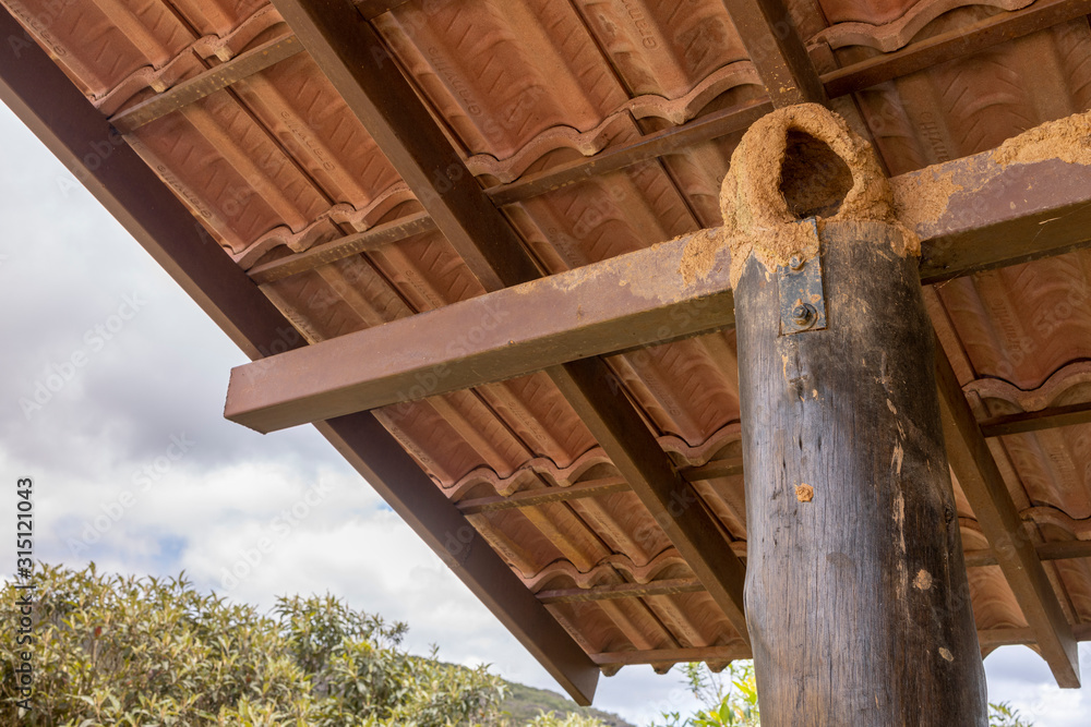Obraz premium Mud birds nest of swallows made out of clay under an outdoor tile rooftop on top of a supporting column for the structure with natural surrounding in the background