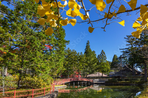 Bridge over pond in Danjogaran temple with maple trees season Autumn colors, at Mount Koya, Japan. photo