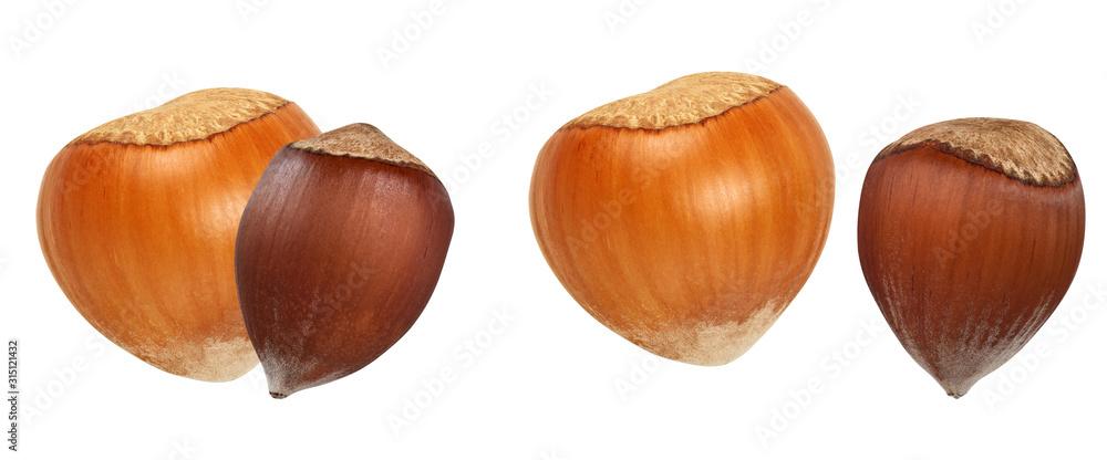 two different hazelnut nuts isolate on white two different hazelnut nuts isolate on white
