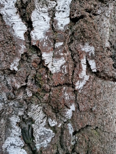 Natur.