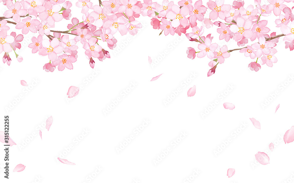 桜と散る花びらのフレーム　水彩イラスト