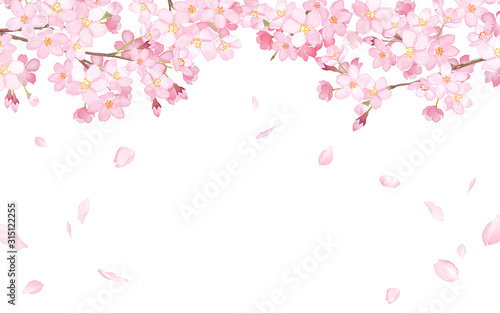 桜と散る花びらのフレーム 水彩イラスト