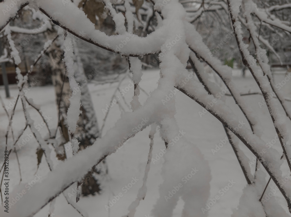 Obraz premium Winter night