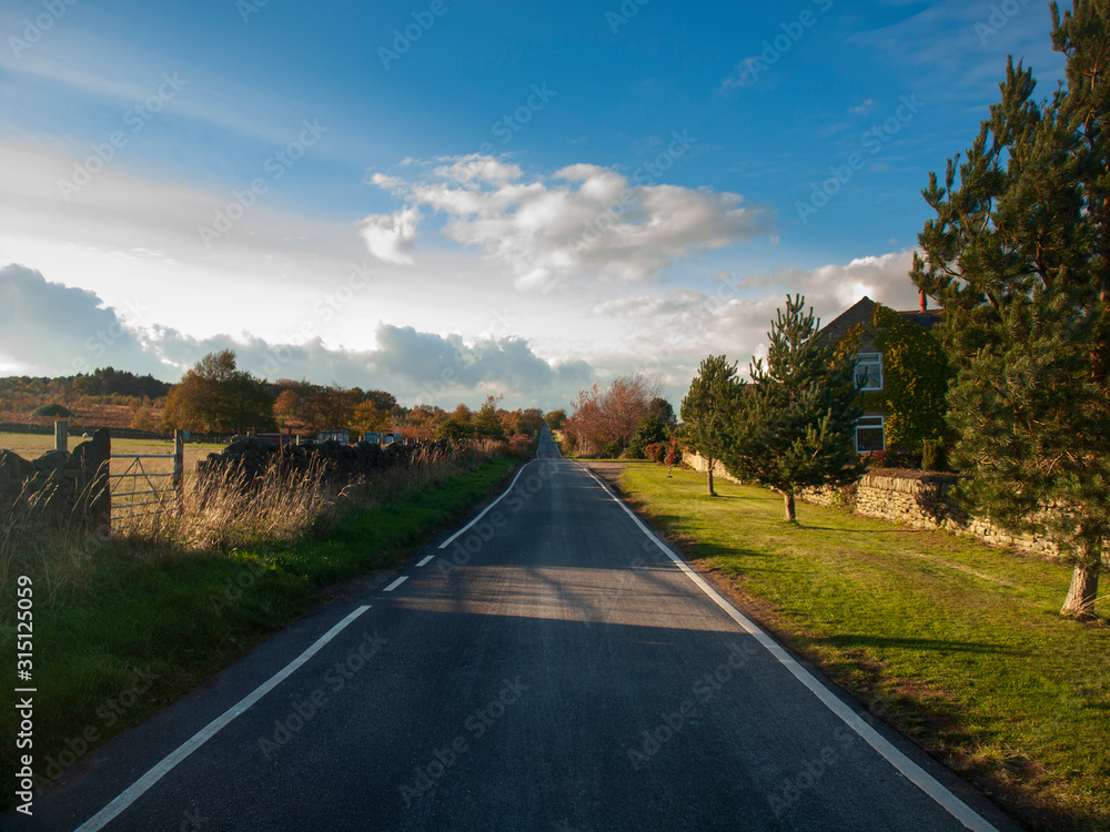 Fototapeta premium Long English rural lane