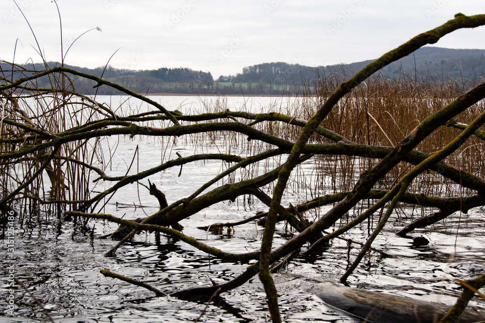 View of the Laacher See on a cold winter day View of the Laacher See on a cold winter day
