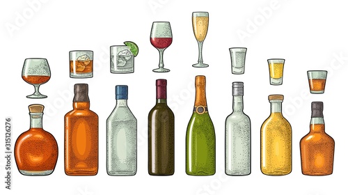 Set glass and bottle whiskey, wine, tequila, cognac, champagne. Vector engraving