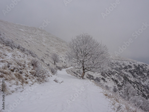 Hiking Path to Monte San Primo in winter