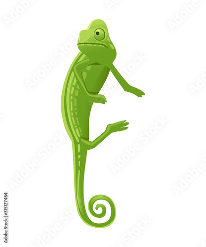 Cute small green chameleon lizard cartoon animal design flat vector illustration isolated on white background