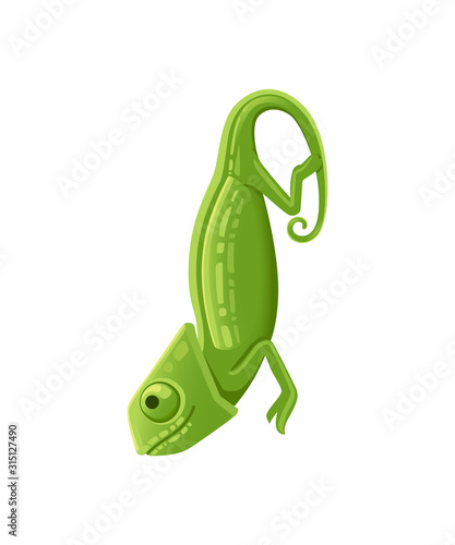 Cute small green chameleon lizard cartoon animal design flat vector illustration isolated on white background