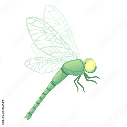 Green dragonfly with big yellow eyes flat vector illustration isolated on white background