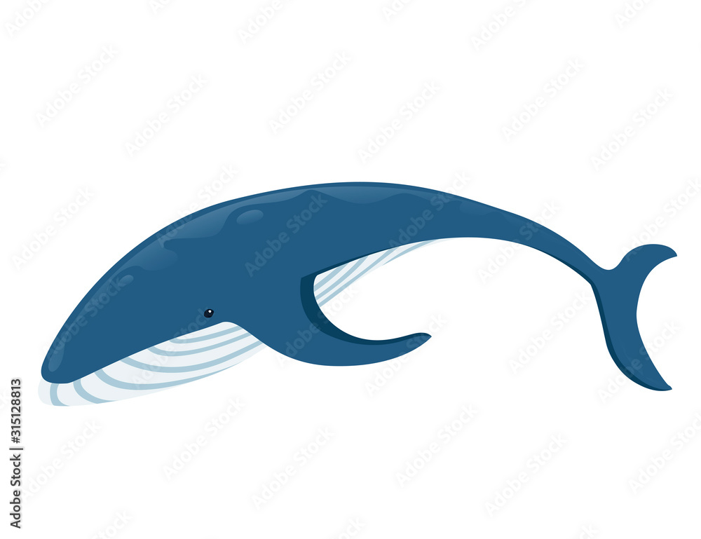 Big blue whale cartoon animal design biggest mammal on the earth flat  vector illustration isolated on white background Stock Vector | Adobe Stock