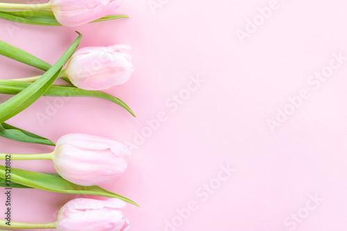 Fototapeta Naklejka Na Ścianę i Meble -  Pink tulips on the pink background. Top view. Flowers composition romantic. Happy woman's day. Mothers Day. Valentine's Day. 