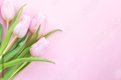 Fototapeta Naklejka Na Ścianę i Meble -  Pink tulips on the pink background. Top view. Flowers composition romantic. Happy woman's day. Mothers Day. Valentine's Day. 