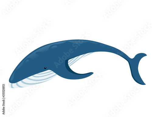 Big blue whale cartoon animal design biggest mammal on the earth flat vector illustration isolated on white background