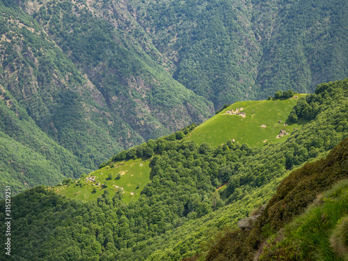 Alpe del Braco and Alpe Leciurt as seen from Corona di Ghina in Val Grande National Park