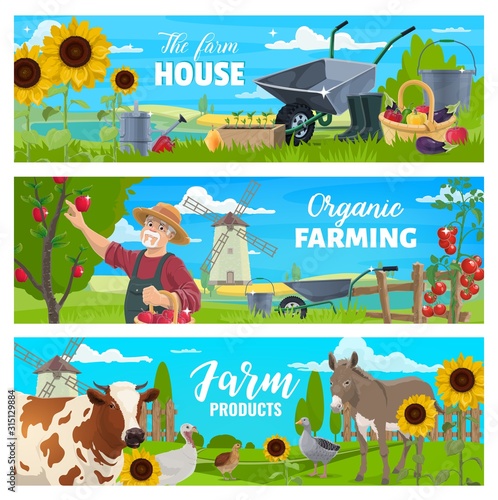Vector banners. Cow, goose and quail, gardener with apples in garden, tomatoes, peppers and buckets, watering can, wheelbarrows. Farmer at farm with animal, vegetable and fruits