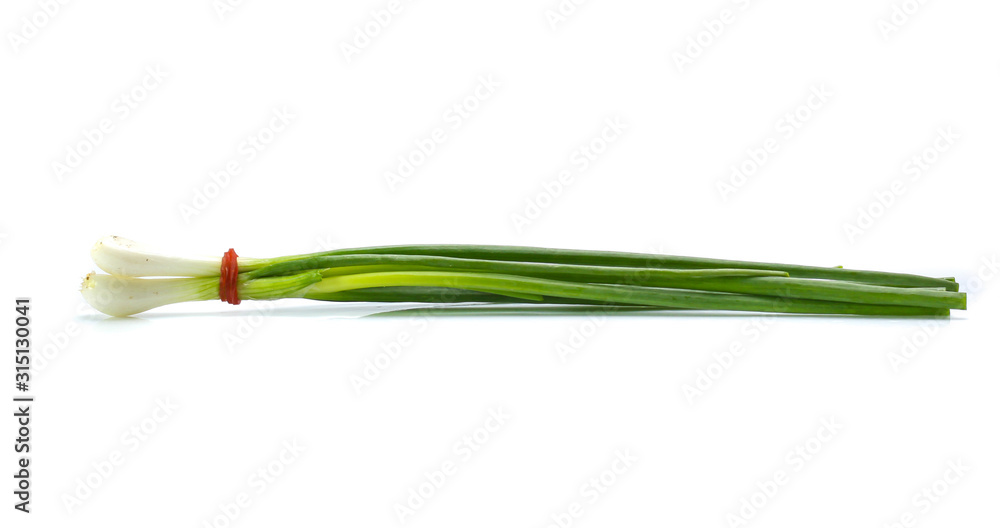 Bunching Onion on white background Bunching Onion on white background