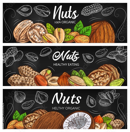 Vector nut, legume and seed chalkboard black banners. Cashew, almond and pistachio, walnut, peanut, hazelnut and coconut color sketches with leaves and nutshells
