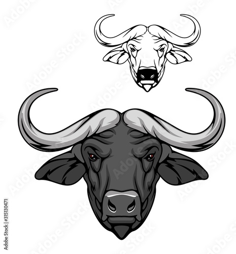 Buffalo head vector cartoon mascot, african savanna animal. Wild ox, carabao or bison bull with fused horns and gray muzzle, mascot of hunting, sport club