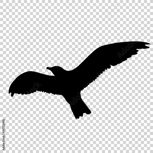 Detailed bird black silhouette isolated on transparent background. Bird icon. Flat style bird sign. Vector illustration