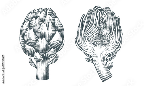 Artichokes. Hand drawn engraving style illustrations.