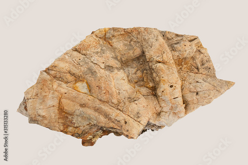 Cruziana, fossil trackways of trilobites photo