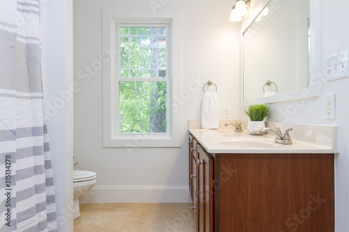 interior of beautiful updated elegant bathroom