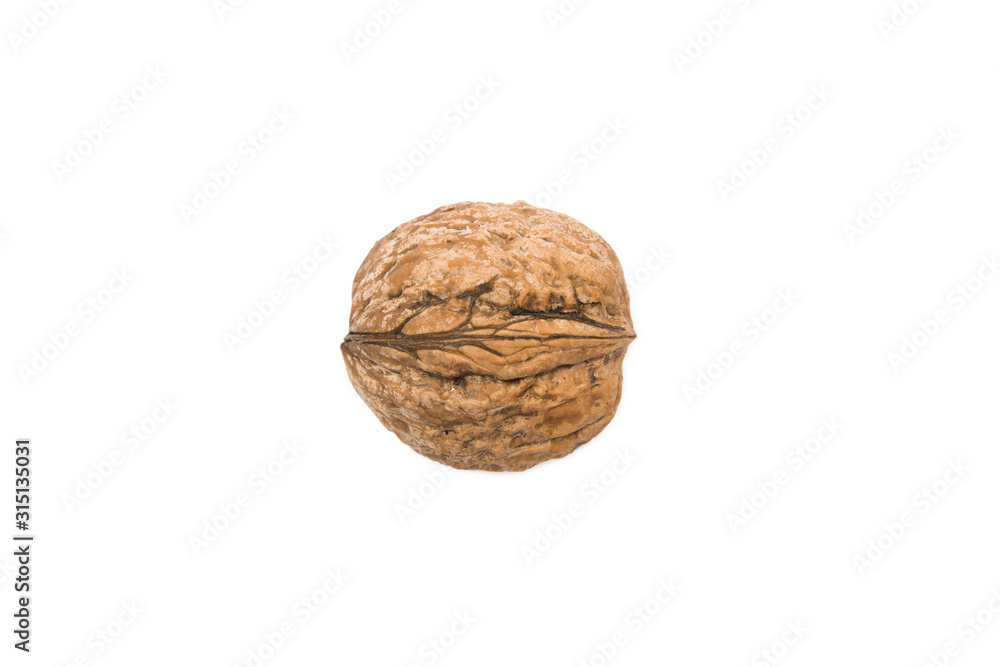 Single walnut isolated on white background Single walnut isolated on white background