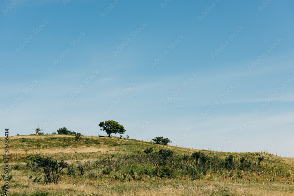Wide landscape with blue sky in summer at the island Hidfensee, Germany