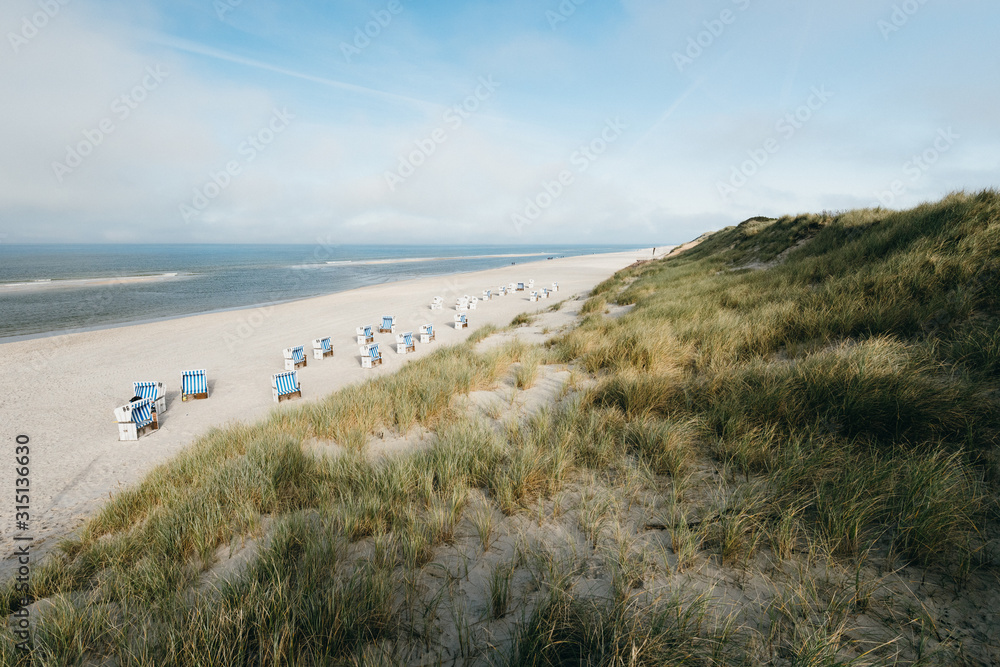 Beach, dune grass and beach chairs on a sunny day at Sylt, Germany