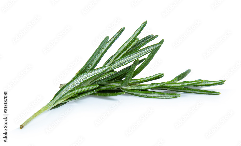 Fototapeta premium rosemary isolated on white background