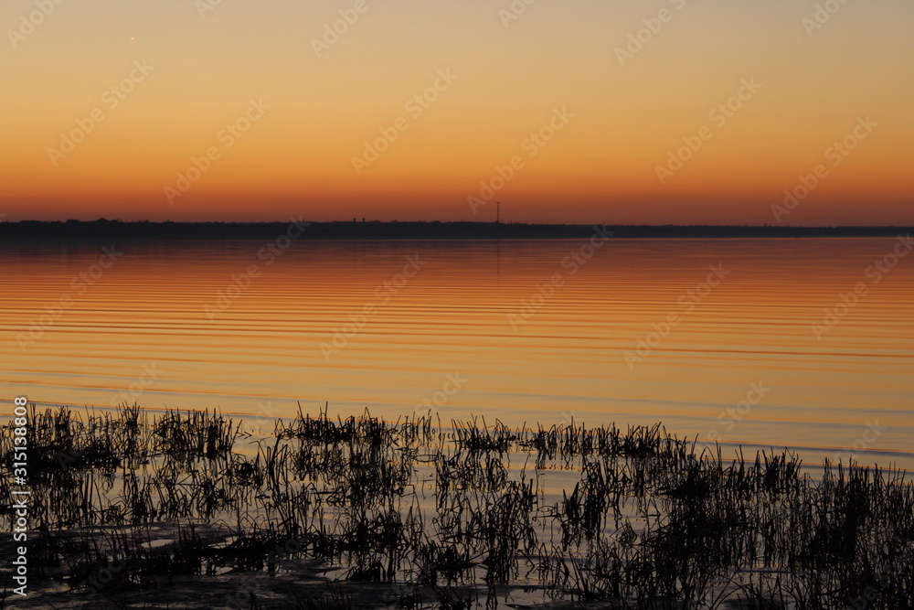 Obraz premium sunset by the river, reeds, grass, ears of corn. Stroke and calm.