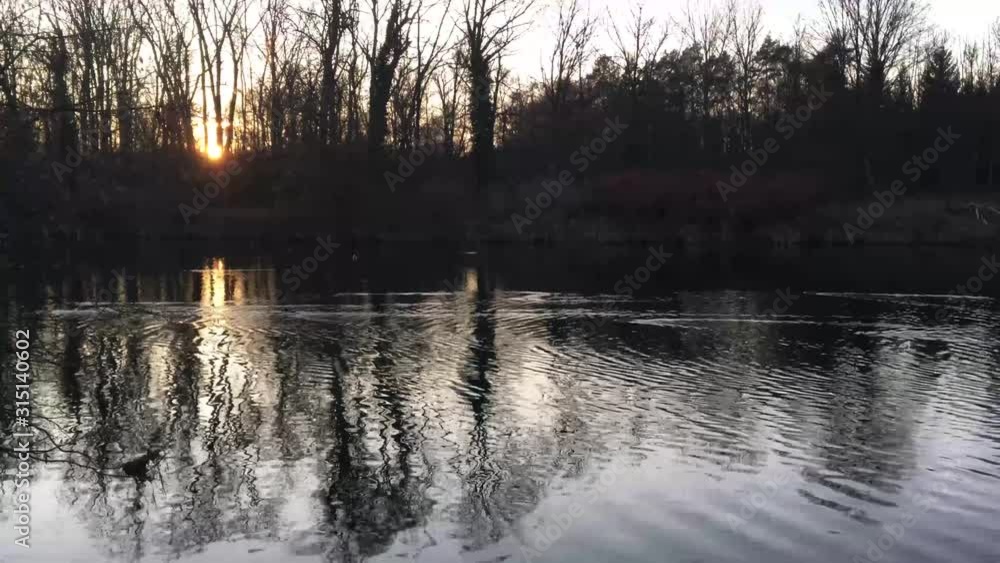 Tranquil scene of slow floating river in front of bare trees. Little birds and ducks are swimming on the swiss river called Aare with sunset in background at winterday. Tranquil scene of slow floating river in front of bare trees. Little birds and ducks are swimming on the swiss river called Aare with sunset in background at winterday.