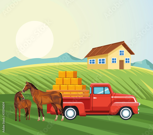farming house horses pickup truck with bales of hay meadow