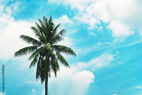 Palm trees and blue sky  coconut tree summer beautiful nature green palm leaf on tropical beach coast sunlight and Copy space on summer vacation and business travel concept Vintage tone  color