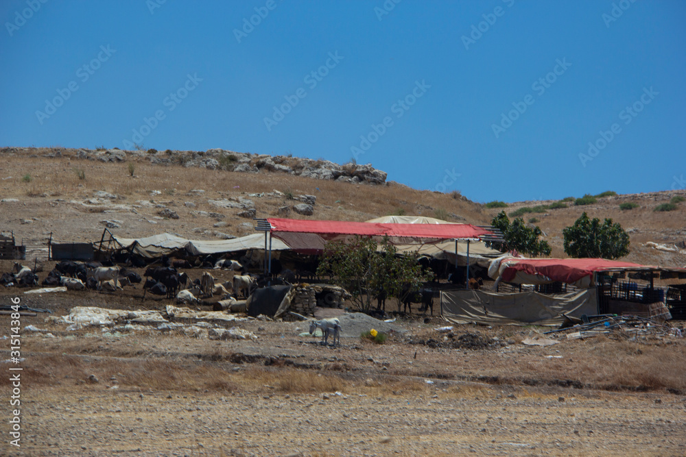 Bedouin encampment