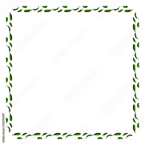 Square frame with horizontal tasty cucumber. Isolated wreath on white background for your design