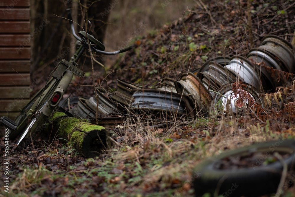 Fototapeta premium garbage in the forest