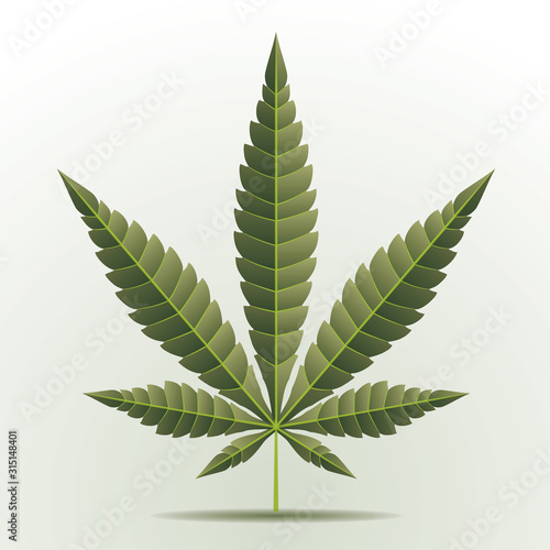 cannabis grass leaf