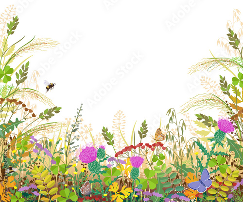 Colorful Frame with Autumn Meadow Plants and Insects