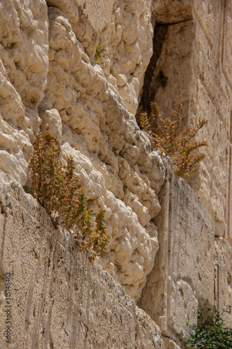 Western Wall, Jerusalem