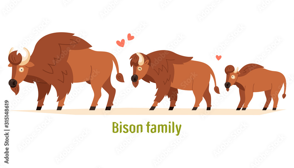 Obraz premium Bison family Mom, dad and calf. Flat vector illustration isolated on white background. Children's illustrations