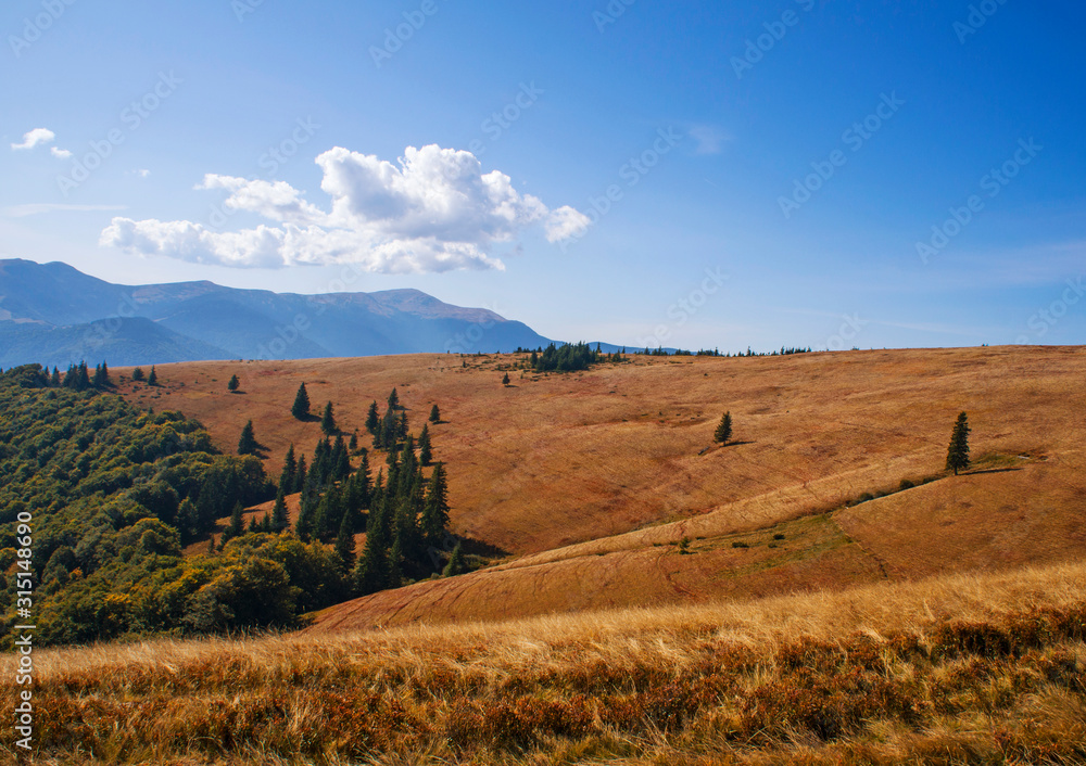 Obraz premium Colorful mountain landscape in the summer mountains. Large hills with blue sky.