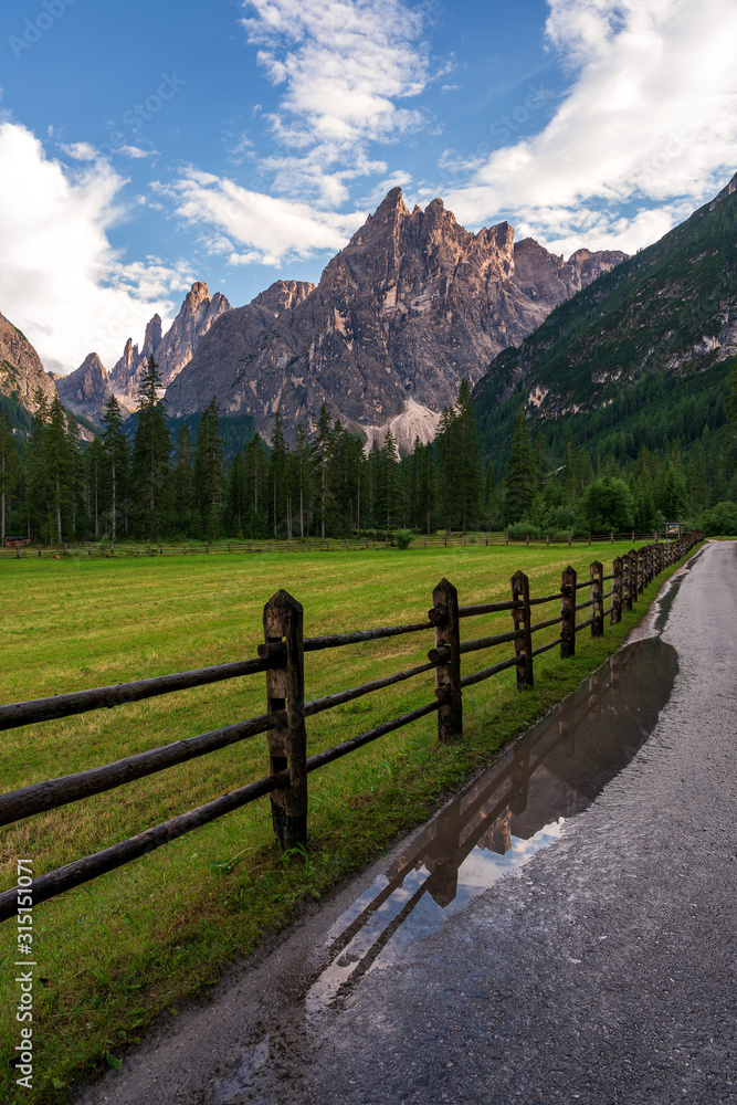 Forest path in the Dolomites, Val Fiscalina.