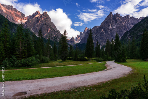 Forest path in the Dolomites, Val Fiscalina