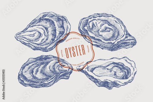 Big set of hand-drawn oysters from different foreshortening vector illustration. Seashells in engraving style on a light background. The menu design element of a fish restaurant, market or store. photo