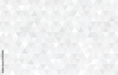 Vector white triangular mosaic texture. Modern low poly background.