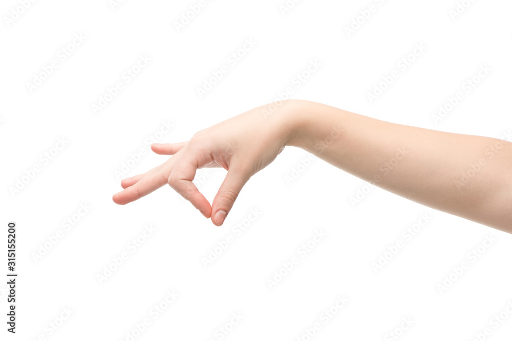 cropped view of woman showing holding hand gesture isolated on white cropped view of woman showing holding hand gesture isolated on white