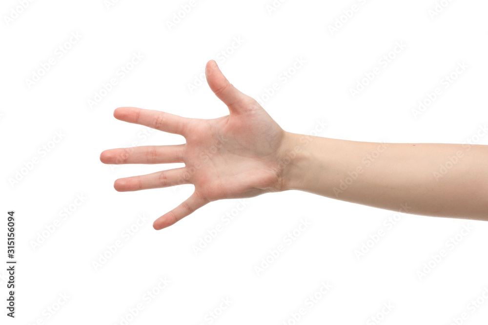 cropped view of woman showing palm isolated on white cropped view of woman showing palm isolated on white